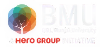BMU Logo